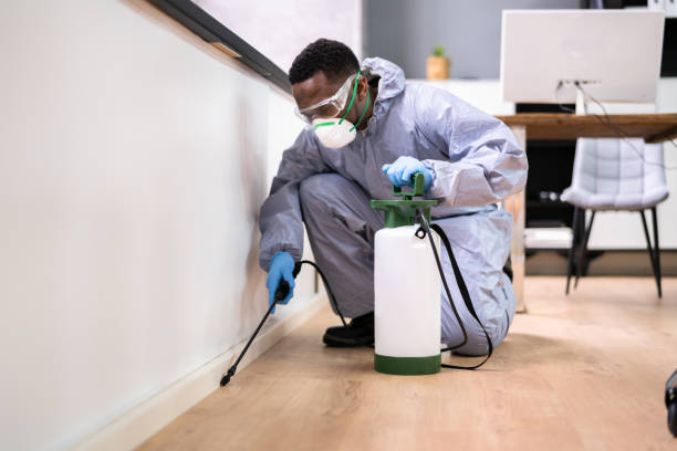 Best Fumigation Services  in Rensselaer, IN